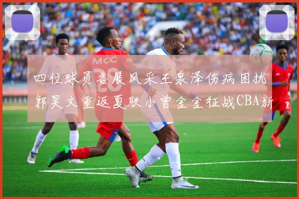 四位球员各展风采王泉泽伤病困扰郭昊文重返夏联小曾金金征战CBA新赛季